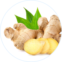 Ginger Extract