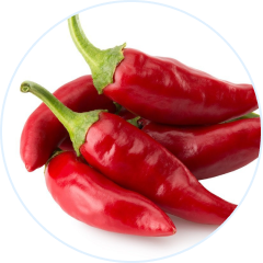 Capsaicin